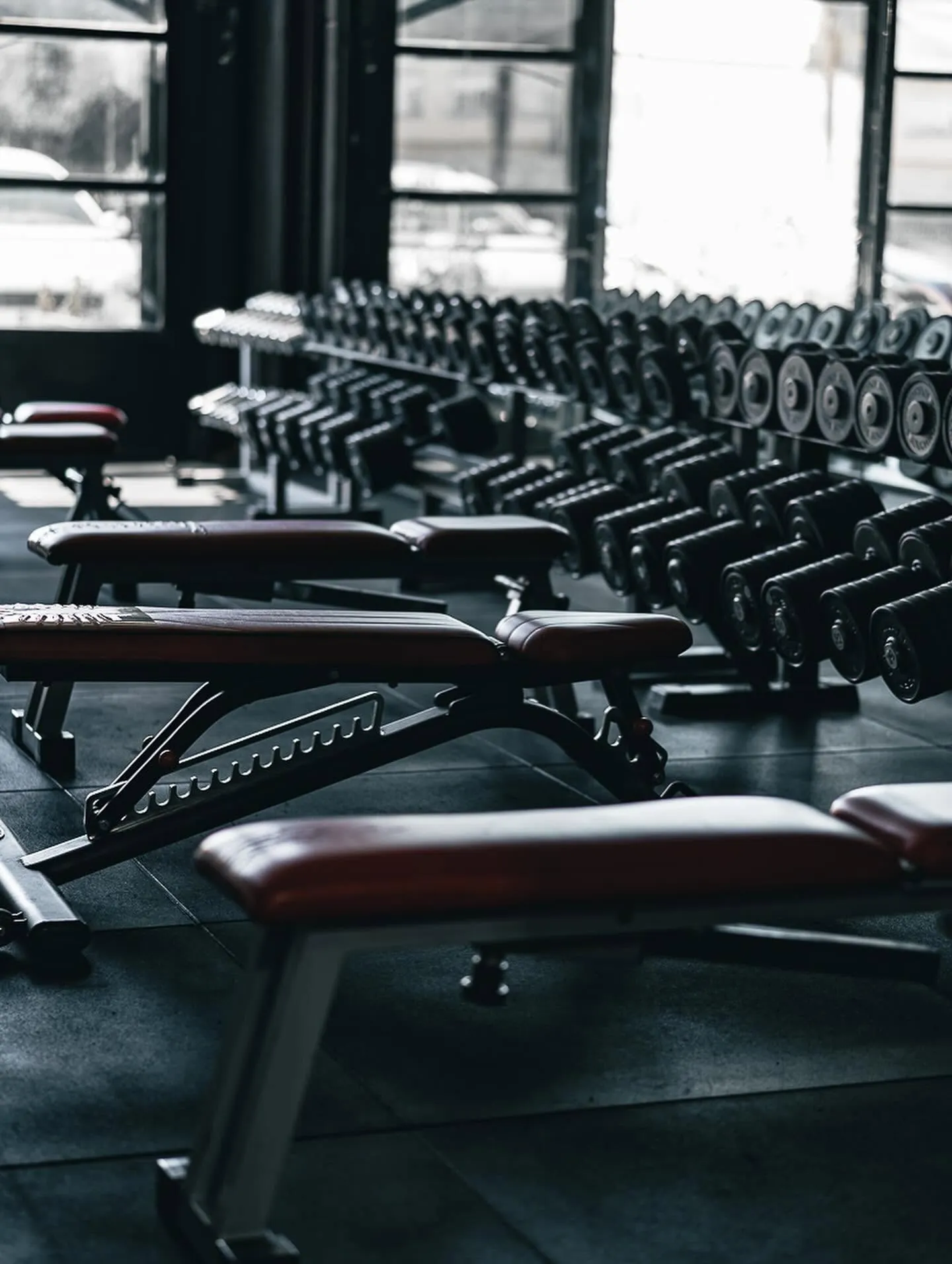 Empire Fit — rastrelliera manubri e panca